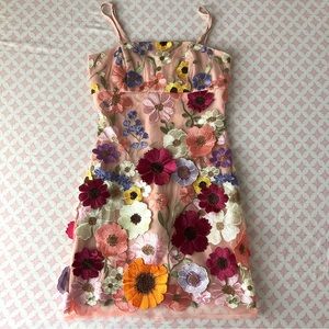 Dream World Floral Appliqué Mini Dress